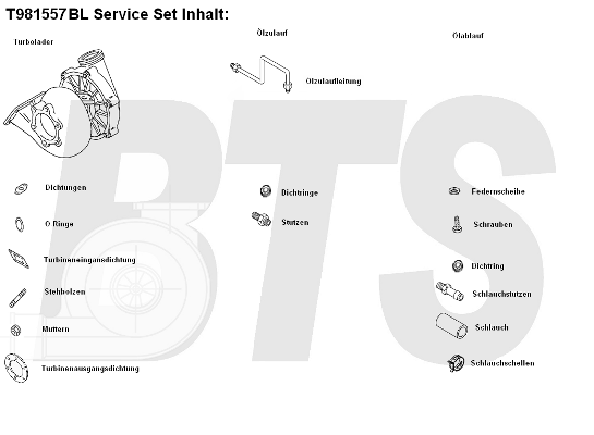 Compresor,sistem de supraalimentare T981557BL BTS Turbo